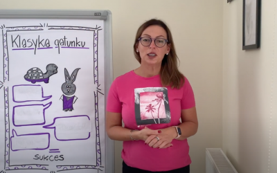 Super sprzedawca i żółw – cechy wspólne.